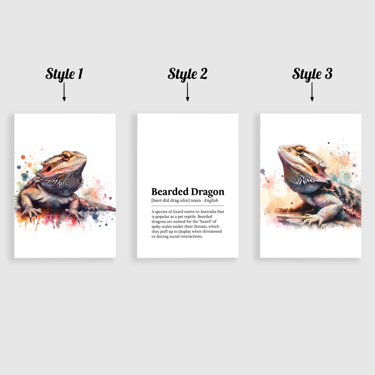 Bearded Dragon Definition Print Set