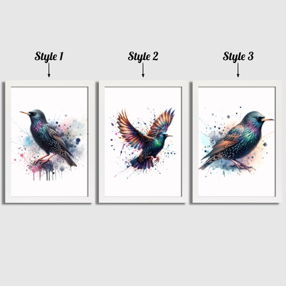 Starling Print Set