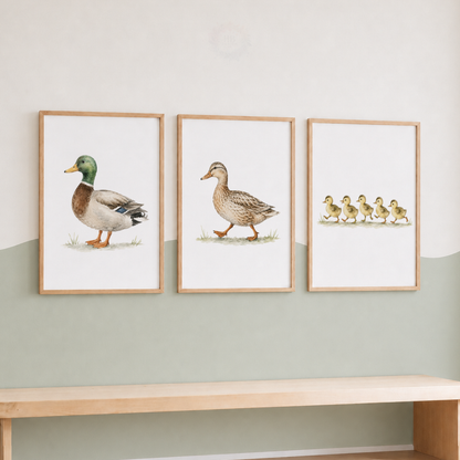 Duck Family Nursery Prints – Mallard, Duck & Ducklings Farm Animal Wall Art Set