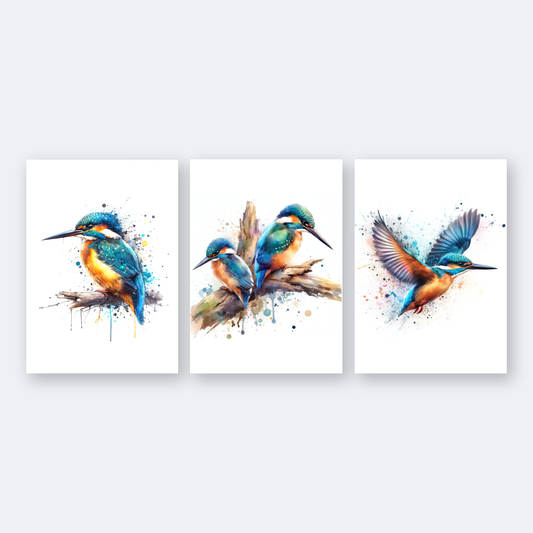 Kingfisher Print Collection
